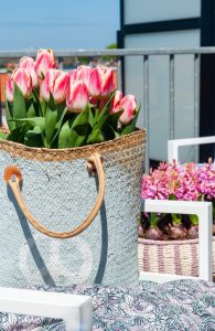 Tulipanes en una maceta en el balcón y en la azotea.