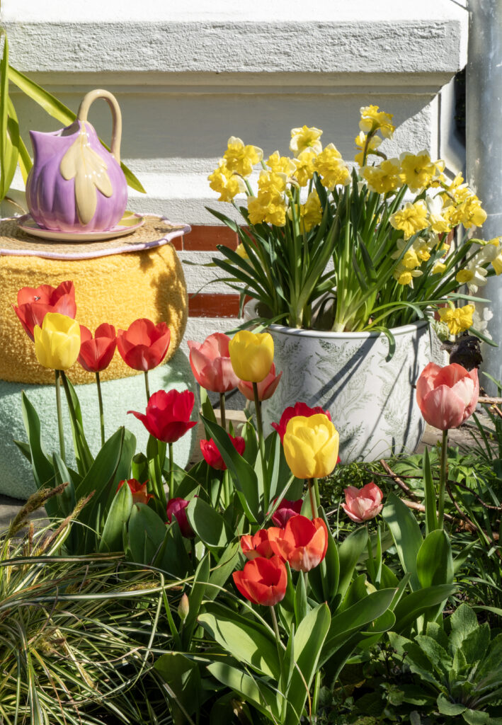 Garden inspiration with tulips and narcissus in pots